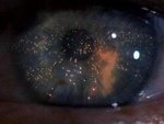 Blade_runner-_channel4