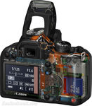 Cutaway back 2k