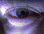 Eye-short-02