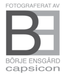 Be_sve