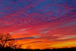 Sunrise 20jan11 44 1