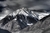 Mont