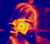 Canon_me_infrared_100_px