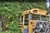 Hdr_schoolbus_1