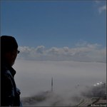 _niebla