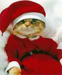 Merry_christmas