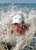 Me_wave